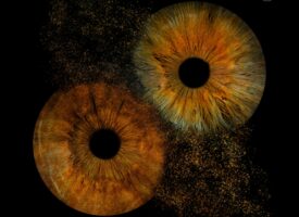 PRM Massimo Puca First - Sight (EP Cover)