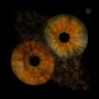 PRM Massimo Puca First - Sight (EP Cover)